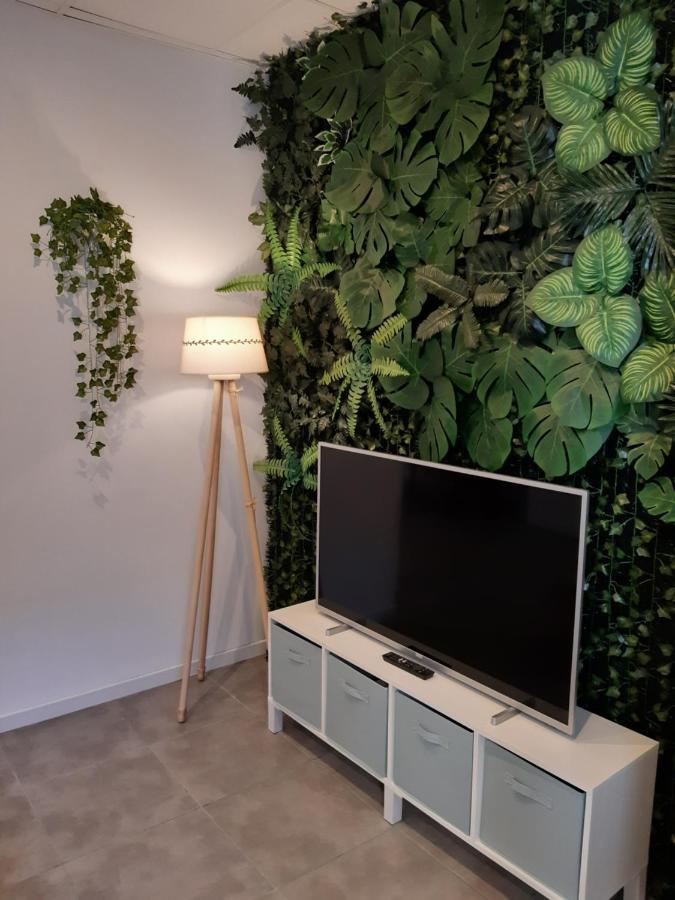 אליקאנטה Tropical Garden Apartment מראה חיצוני תמונה