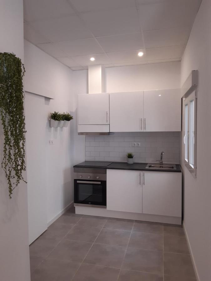 אליקאנטה Tropical Garden Apartment מראה חיצוני תמונה